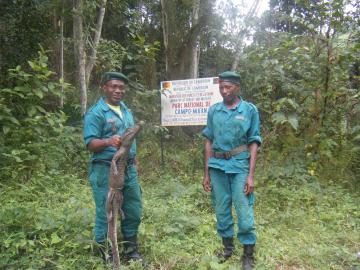 Workshop to advance Transboundary Cooperation between Cameroon and Equatorial Guinea for the Conservation of the Campo Ma’an and Rio Campo landscape