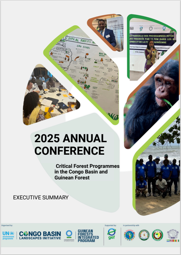 2025 Kribi GEF Annual conference- Executive summary cover