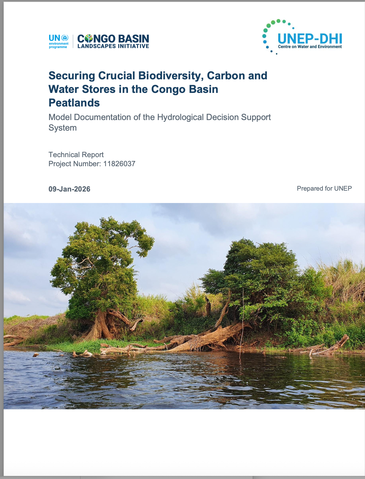 UNEP DHI technical report