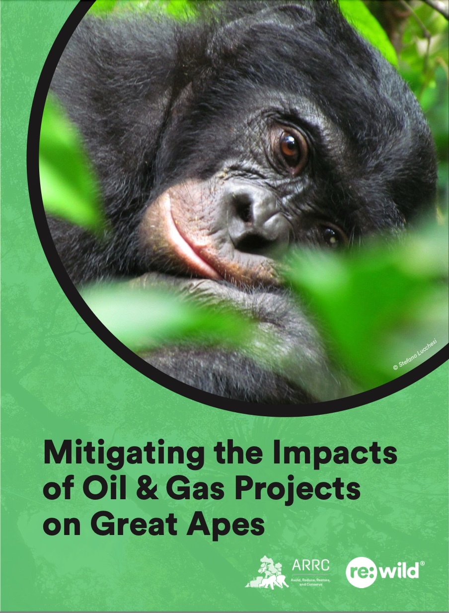 ARCC inforgraphic cover