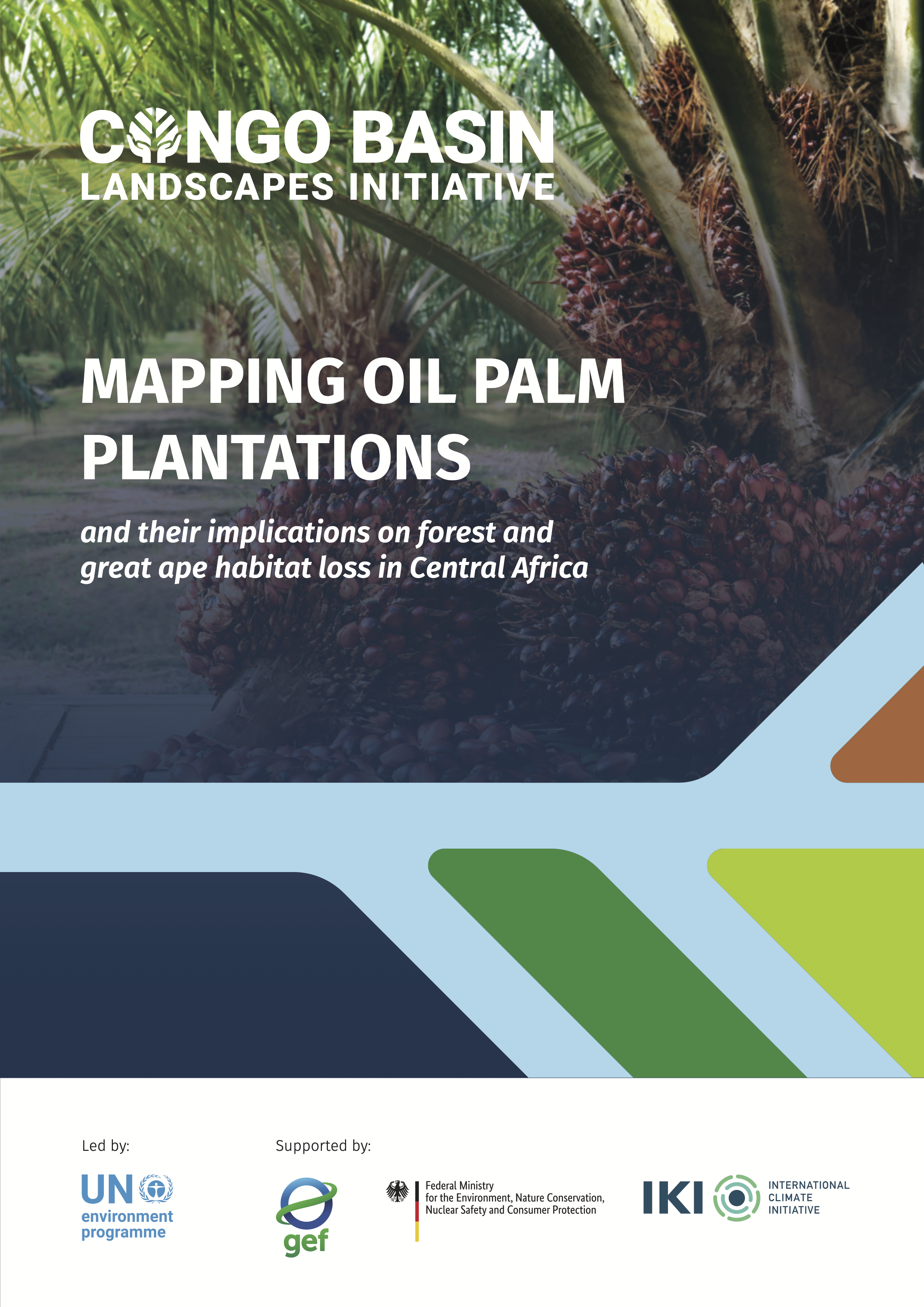 Mapping Oil Palm cover page