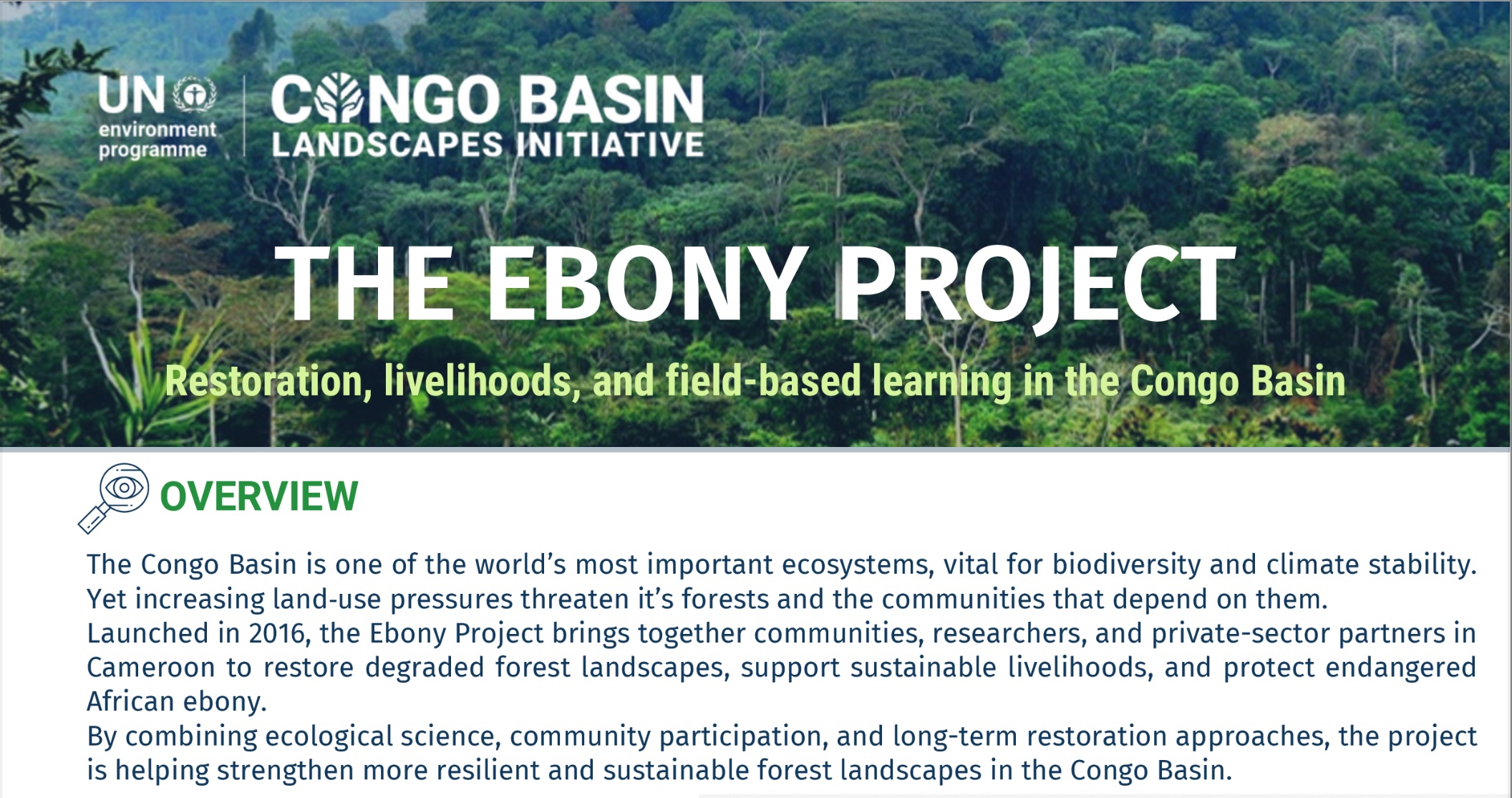 Ebony factsheet