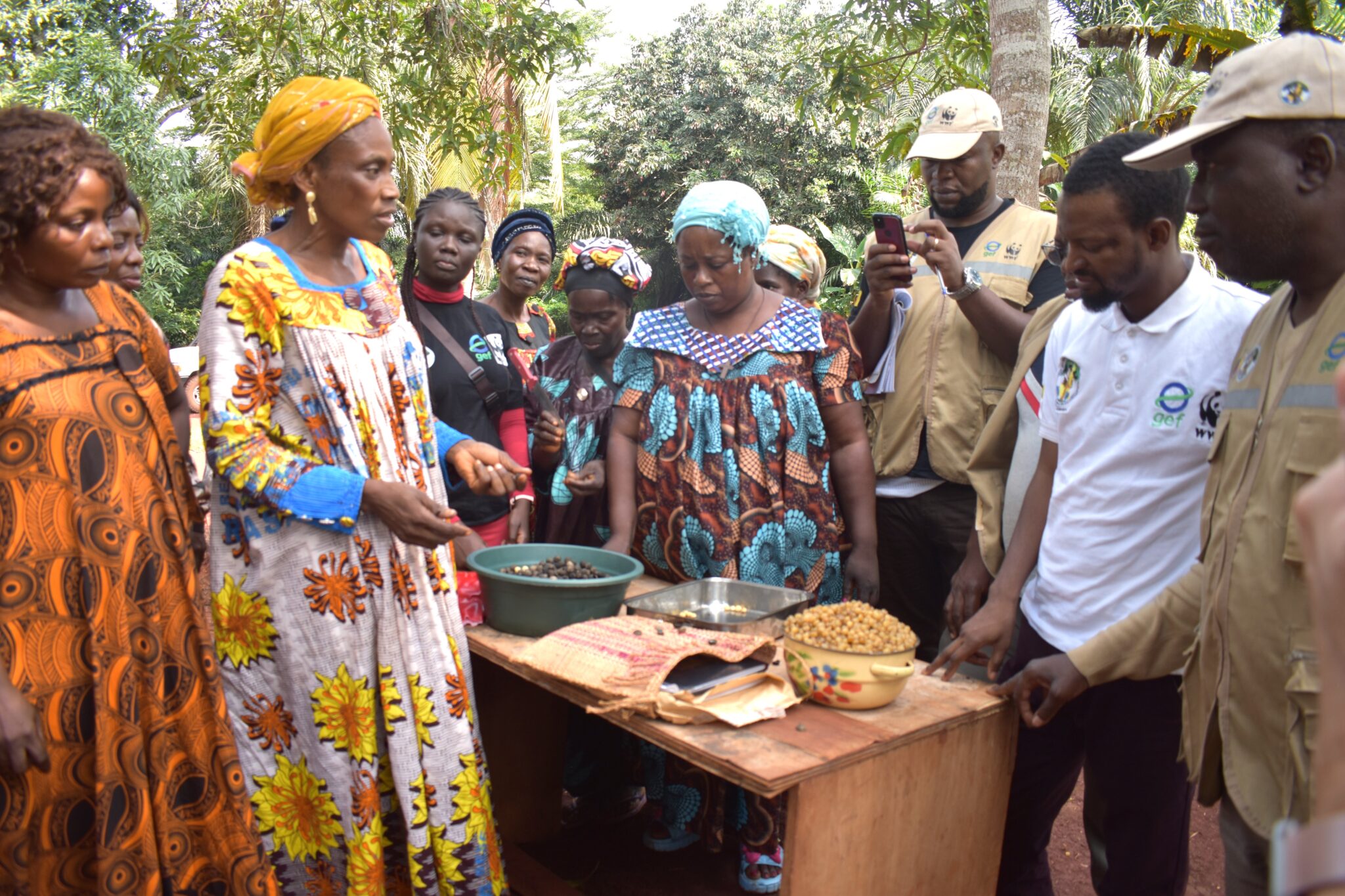 Women-demonstrating-the-processing-of-njansang. Photo by Ernest Sumelong