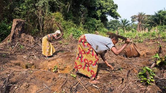 CLimate homenews- woman in field