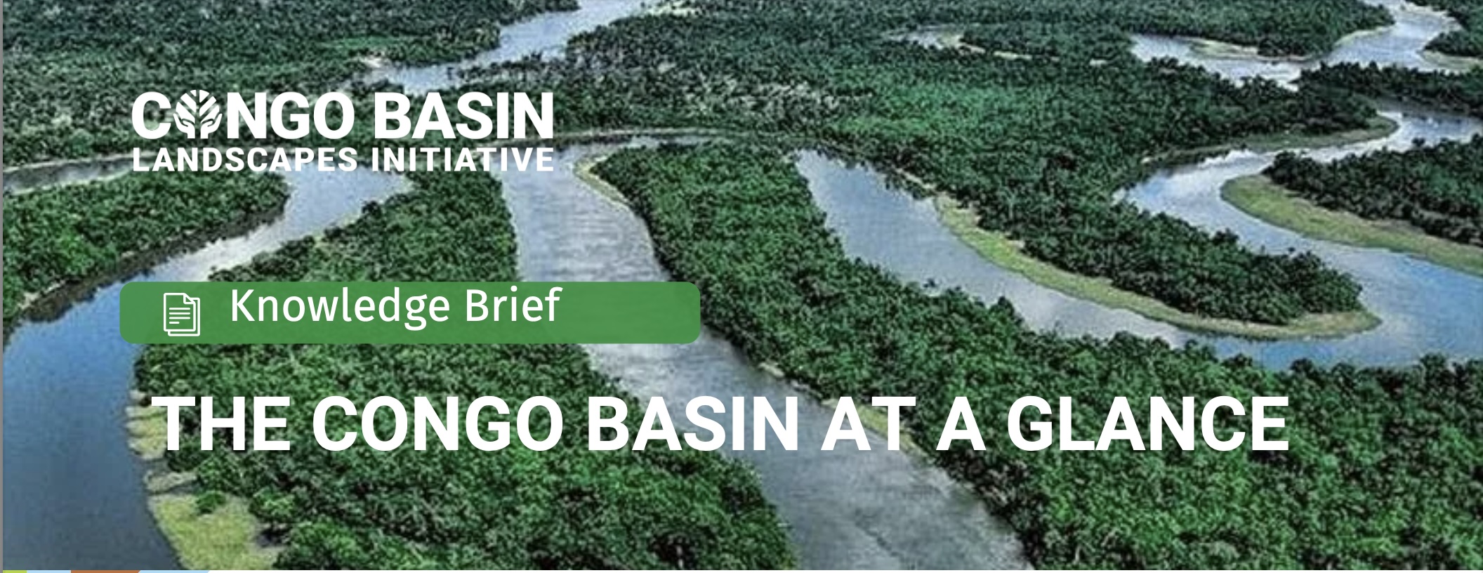 The CG basin at a glance-Brief cover