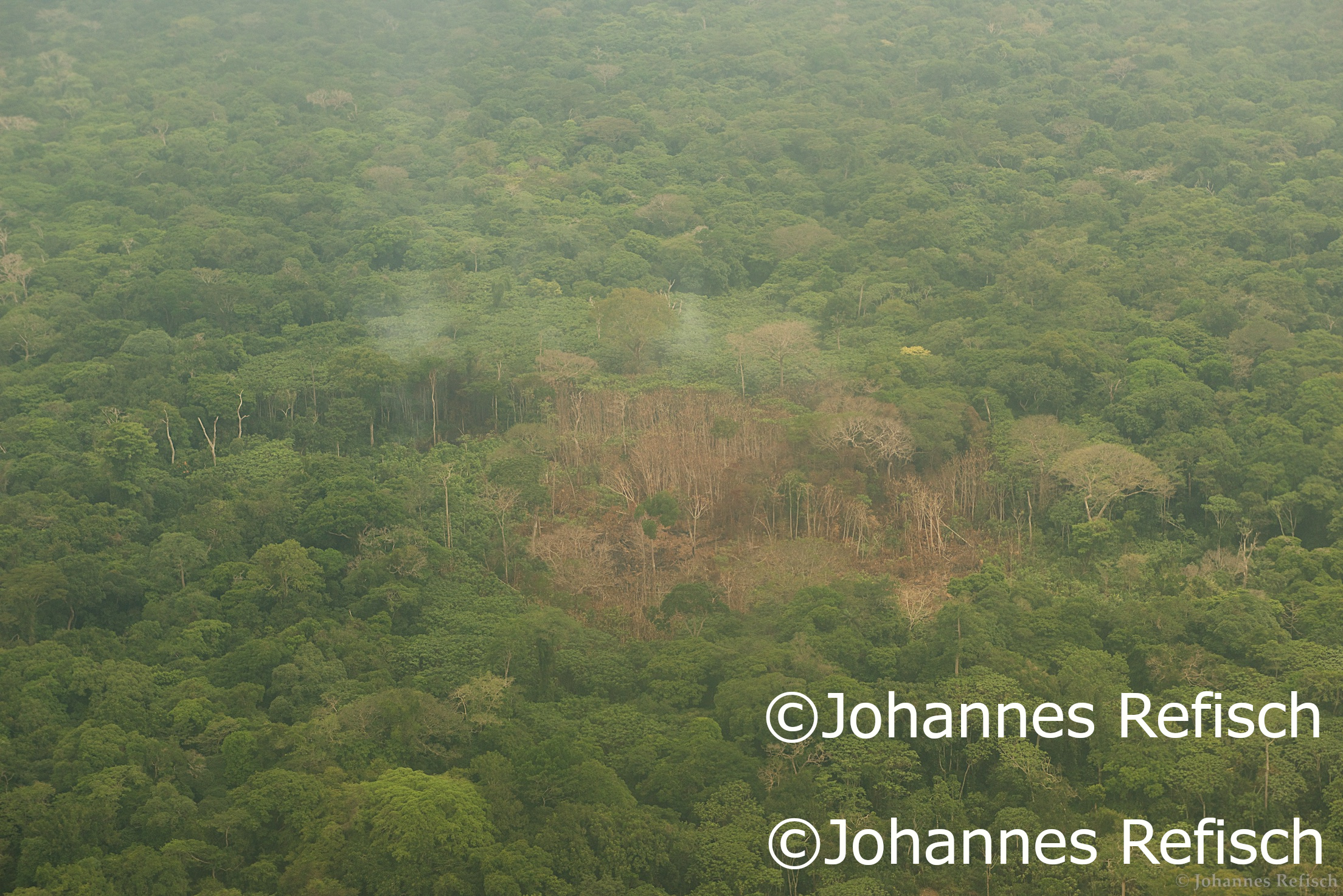 Combating Desertification and Land Degradation (GTCCD)