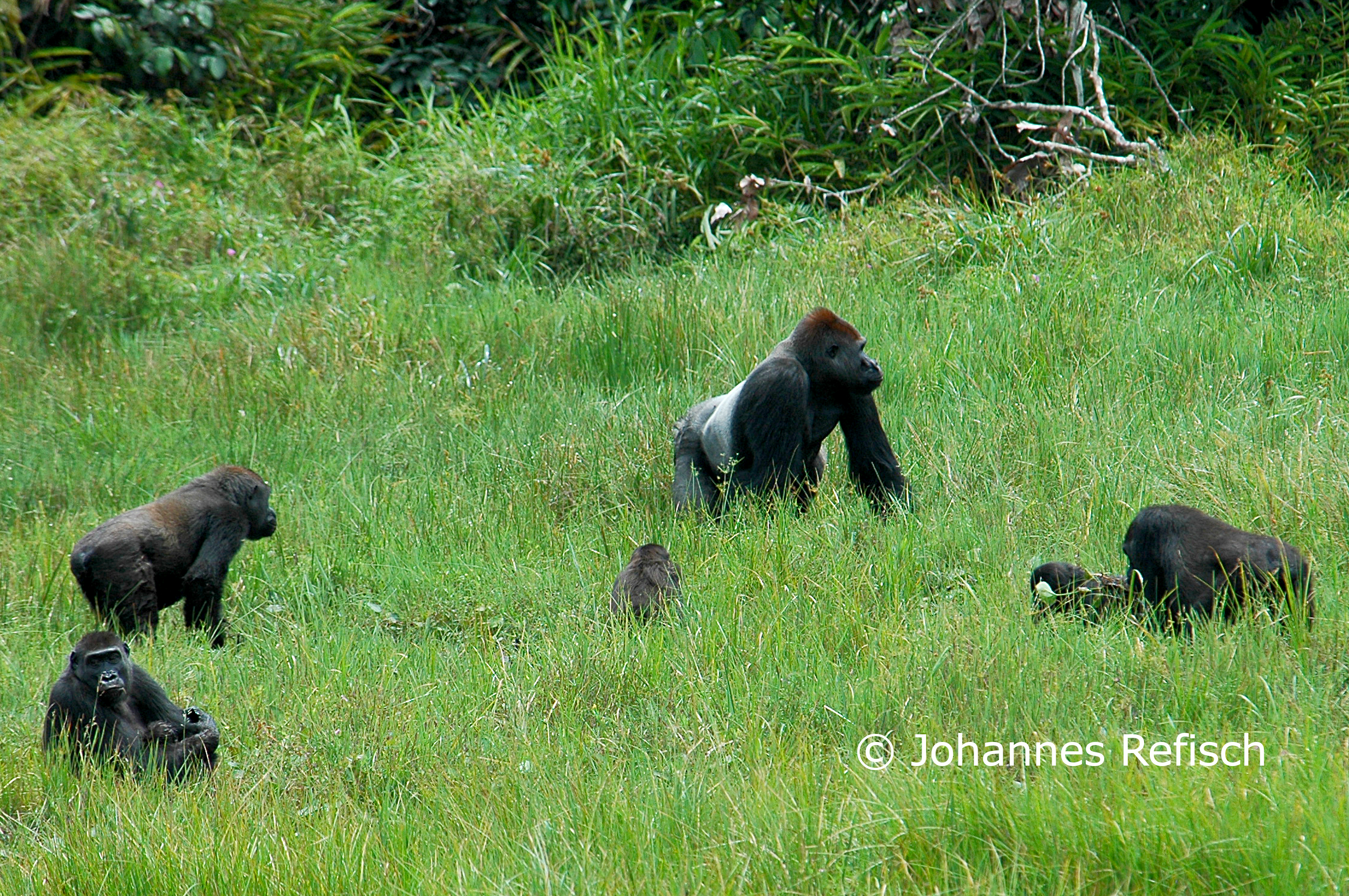 Protected Areas and Wildlife