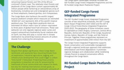 CBLI factsheet