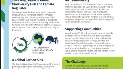 Cover Congo Forest
