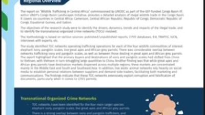 Photo Knowledge brief