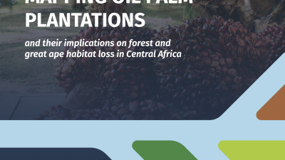 Mapping Oil Palm cover page