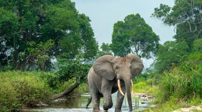 Community of practice