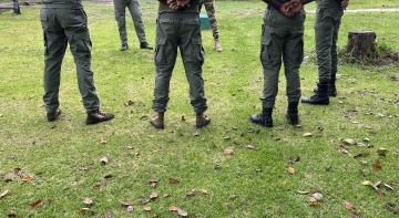 Strengthening transboundary networks to deal with wildlife crime across the Congo Basin