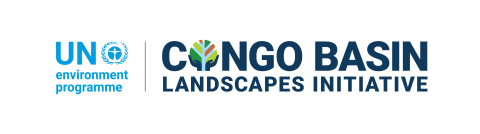 Logo Congo Basin Initiative