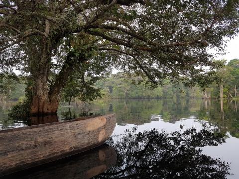 pirogue-DRC - Bart Crezee 
