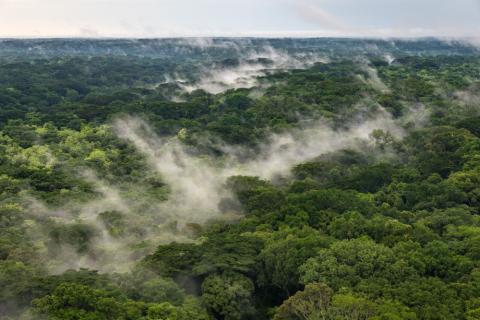 Biodiversity Conservation in Chinko, CAR © Marcus Westberg 