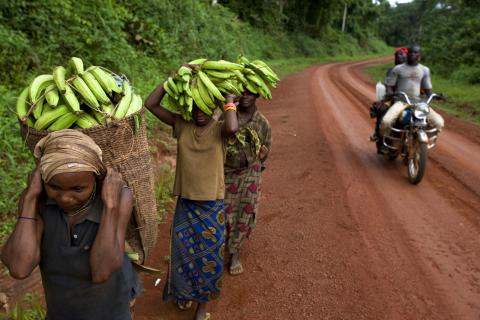 GEF7-CAM. Women carrying produce