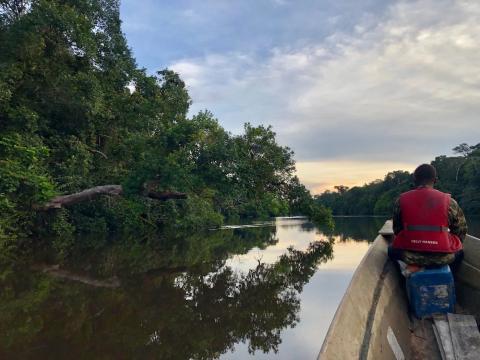 Dja landscape - on the river