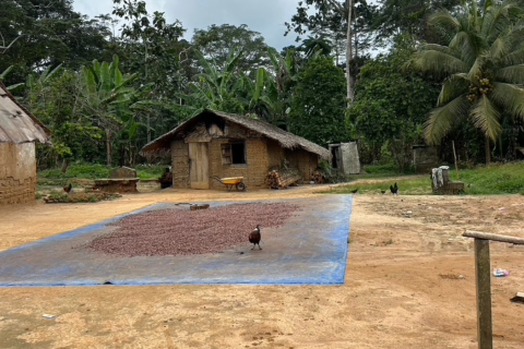 Sustainable livelihoods-thematic group