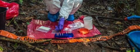WCS-Prelevement at the edge of the forest