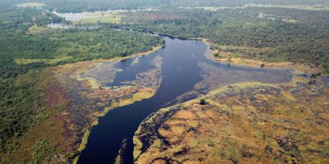 Zuki river-ethz.ch