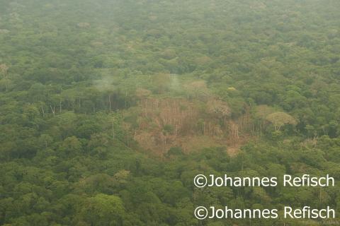 Groupe de Travail sur la Lutte contre la Désertification et la Dégradation des Terres (GTCCD