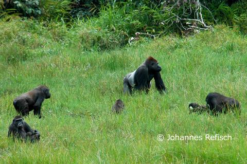 COP-Protected Areas and Wildlife