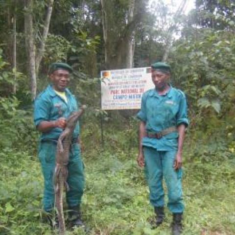 Workshop to advance Transboundary Cooperation between Cameroon and Equatorial Guinea for the Conservation of the Campo Ma’an and Rio Campo landscape