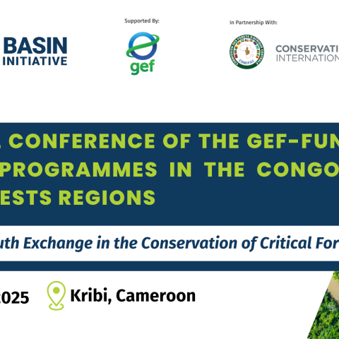 GEF JUN2025 conference banner
