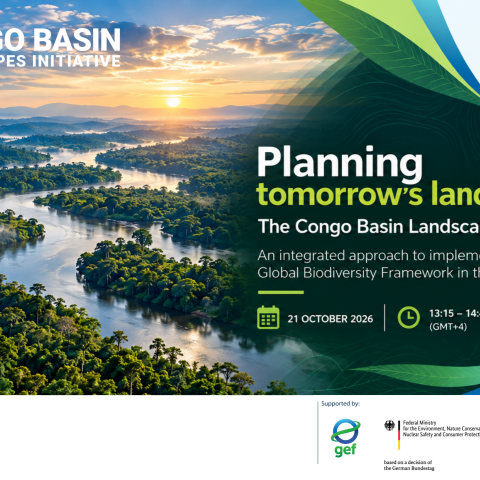 CBLI_COP17 Banner ENG