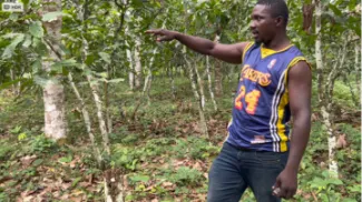 Building links between the private sector and forest communities in southern Cameroon