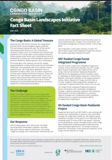 CBLI factsheet