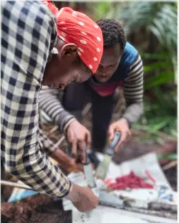 Collection of peat samples by students for analysis-Photo credit- Greta Dargie