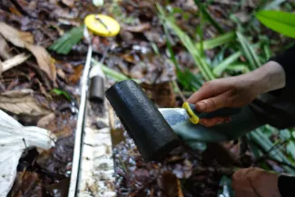 Congo - Peat Sample - Simon Lewis.