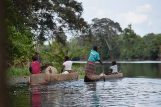 view of the river-DRC - Bart Crezee