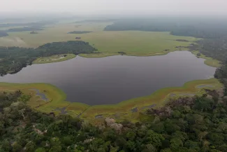 CS20240704_RCLT_WCS_Nicolon