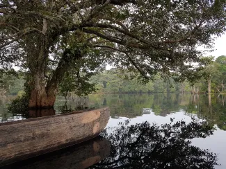 pirogue-DRC - Bart Crezee 