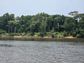 DRC View from boat-TM 2026
