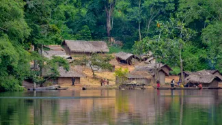 CoP Forest governance