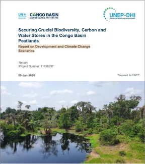 Securing Crucial Biodiversity, Carbon and Water Stores in the Congo Basin Peatlands Report on Development and Climate Change Scenarios-Report cover