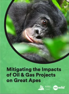 ARCC inforgraphic cover