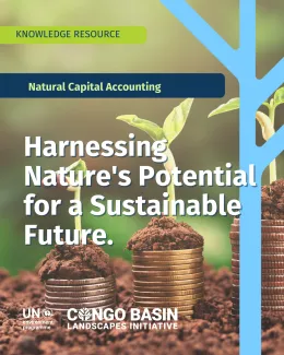 KP-Natural Capital Accounting