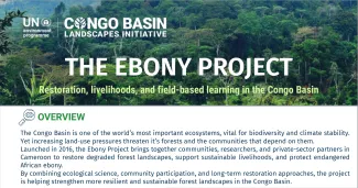 Ebony factsheet