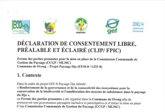 FPIC declaration