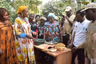 Women-demonstrating-the-processing-of-njansang. Photo by Ernest Sumelong