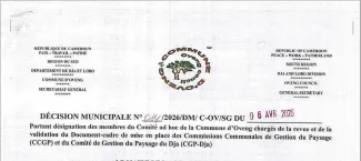 Oveng decision