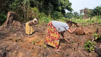 CLimate homenews- woman in field
