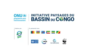 Congo Basin Impact Programme  logo FR
