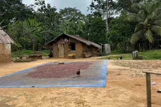 Sustainable livelihoods-thematic group
