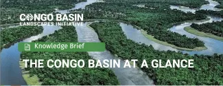 The CG basin at a glance-Brief cover